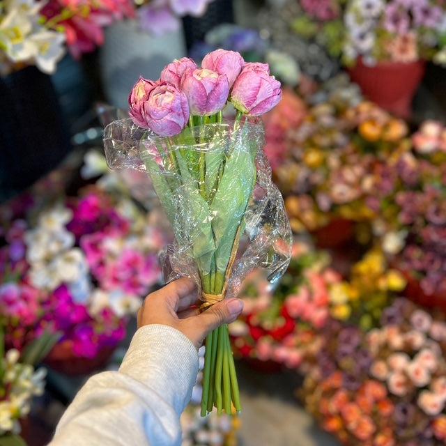 Realistic Pink Peony Buds