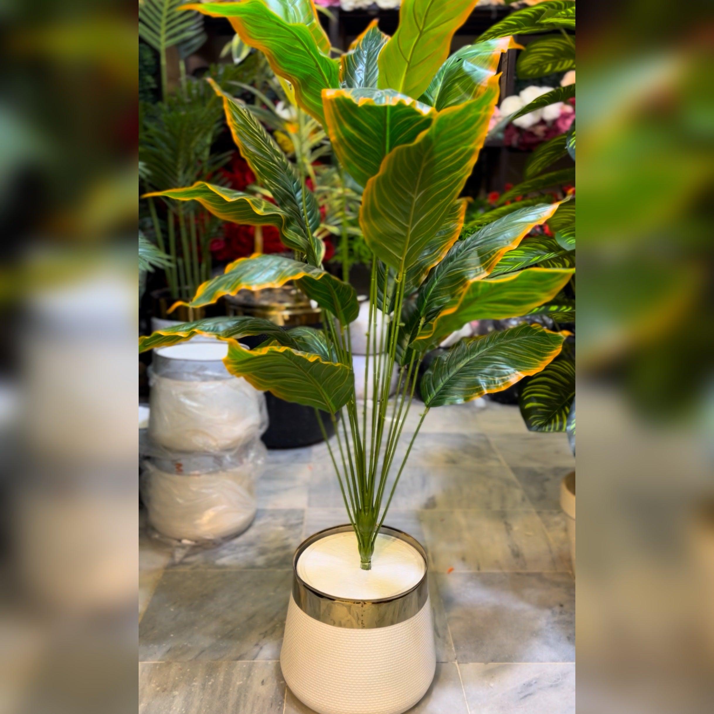 Artificial Dieffenbachia Plant 5 ft in GRP Planter Tall Indoor Decorative Plant for Home & Office Decoror