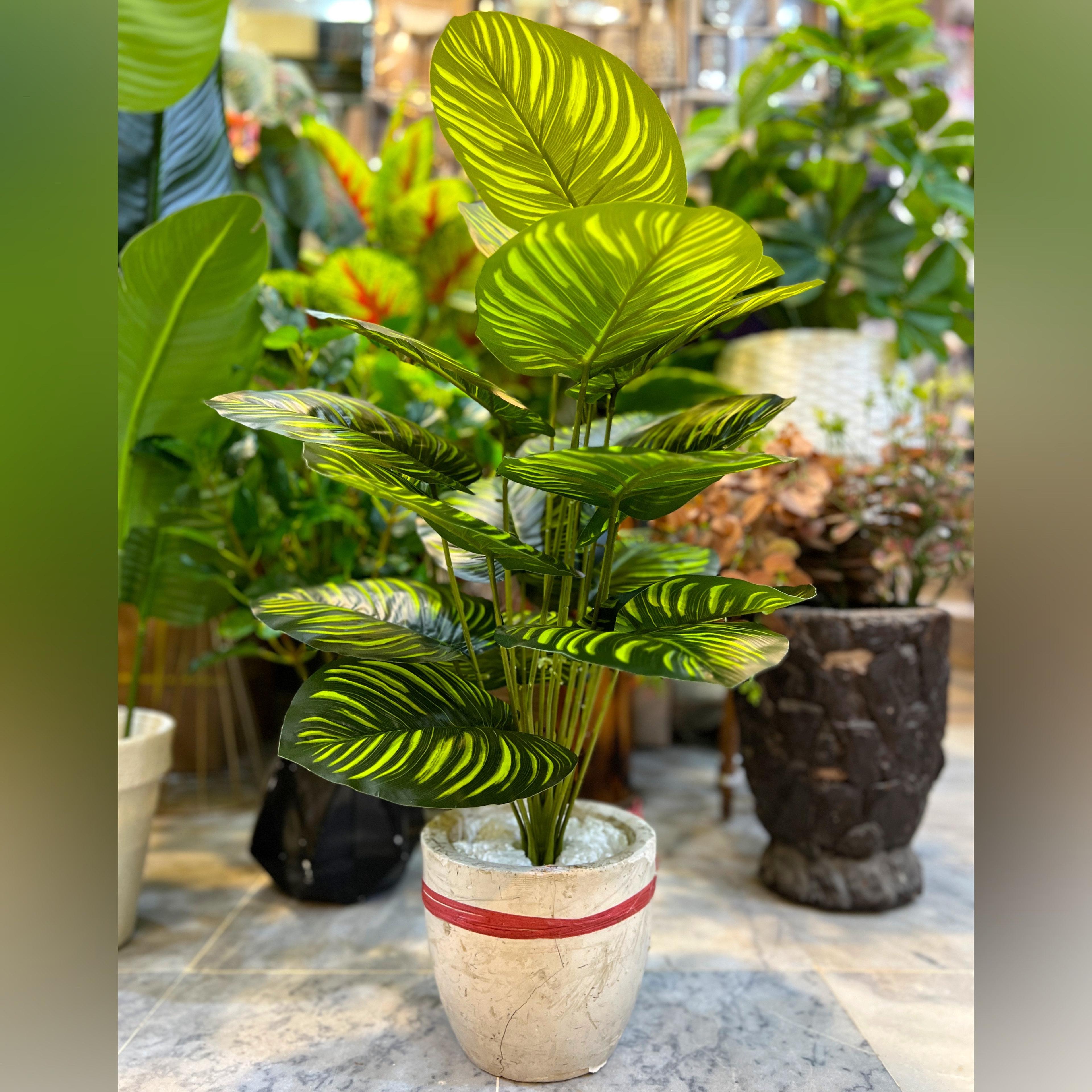 Artificial Calathea Plant in Marble Ceramic Planter 3 ft Decorative Indoor Plant for Home & Office DÃ©cor