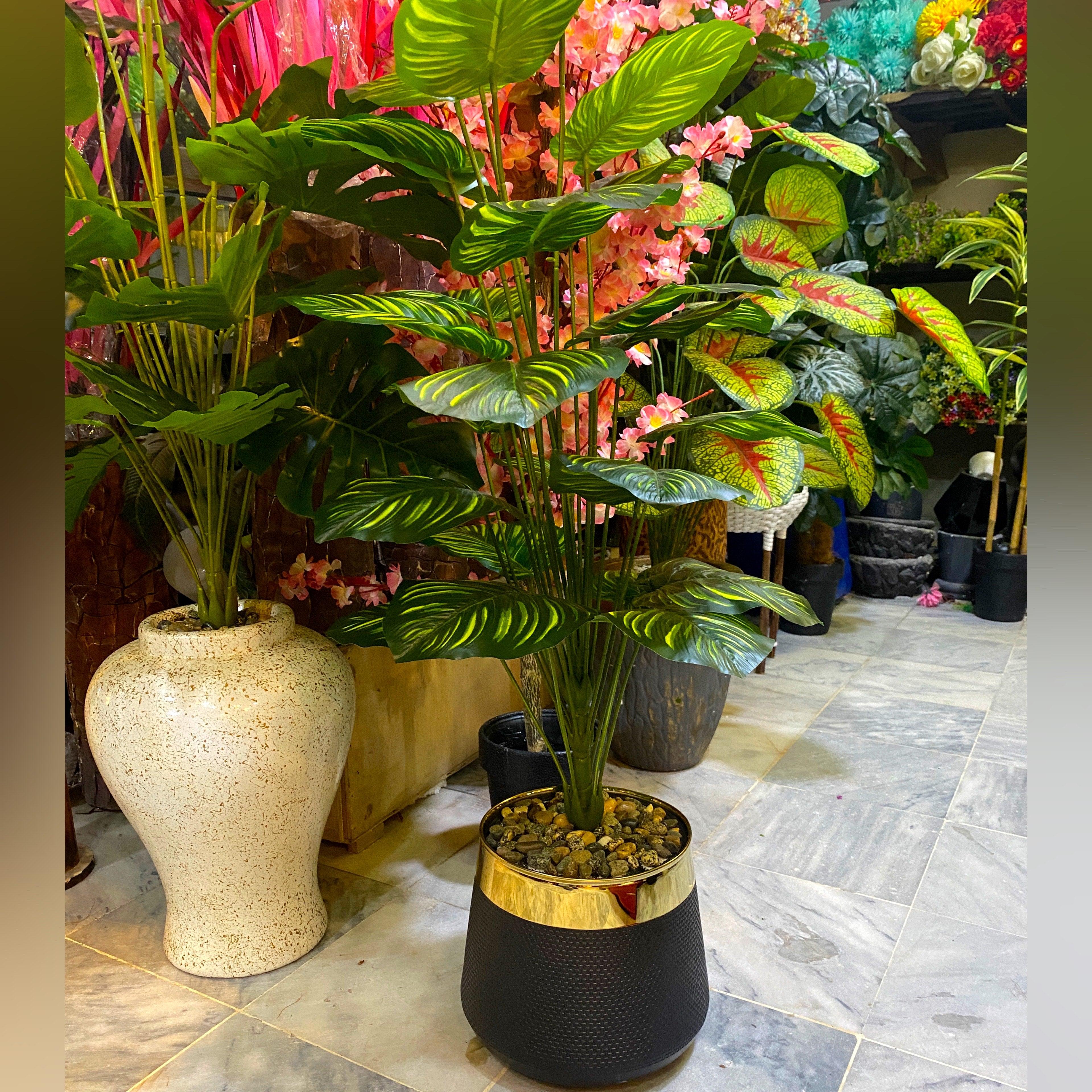 4.5 ft Artificial Money Plant in Black GRP Non-Breakable Planter