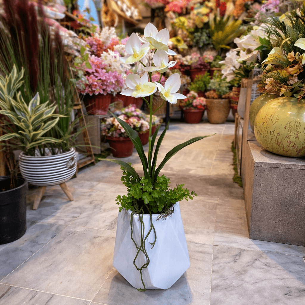 White Orchid Artificial Plant in Diamond planter