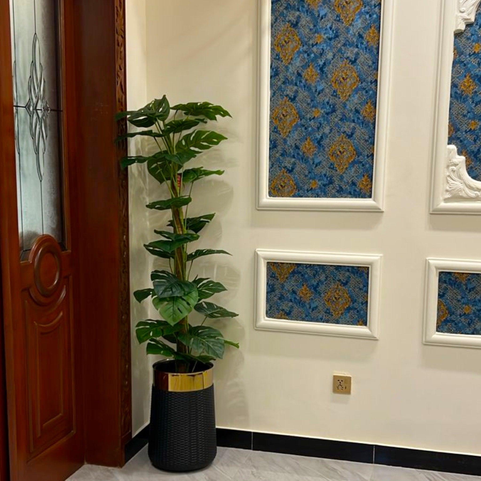 5.5 ft Artificial Planter with Swiss Cheese Leaves, Coconut Husk Filling, Black Non-Breakable Planter with Golden Rim