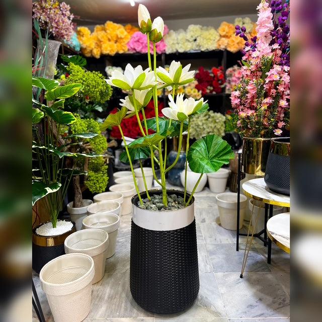 White Lotus Flower with Decorative Black Pot