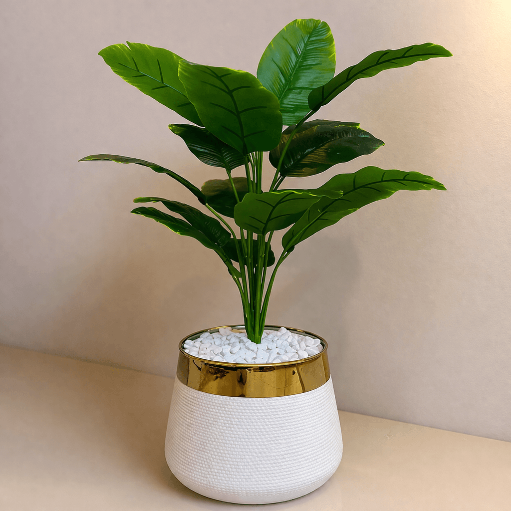 18 Leaf banana palm Planter Set