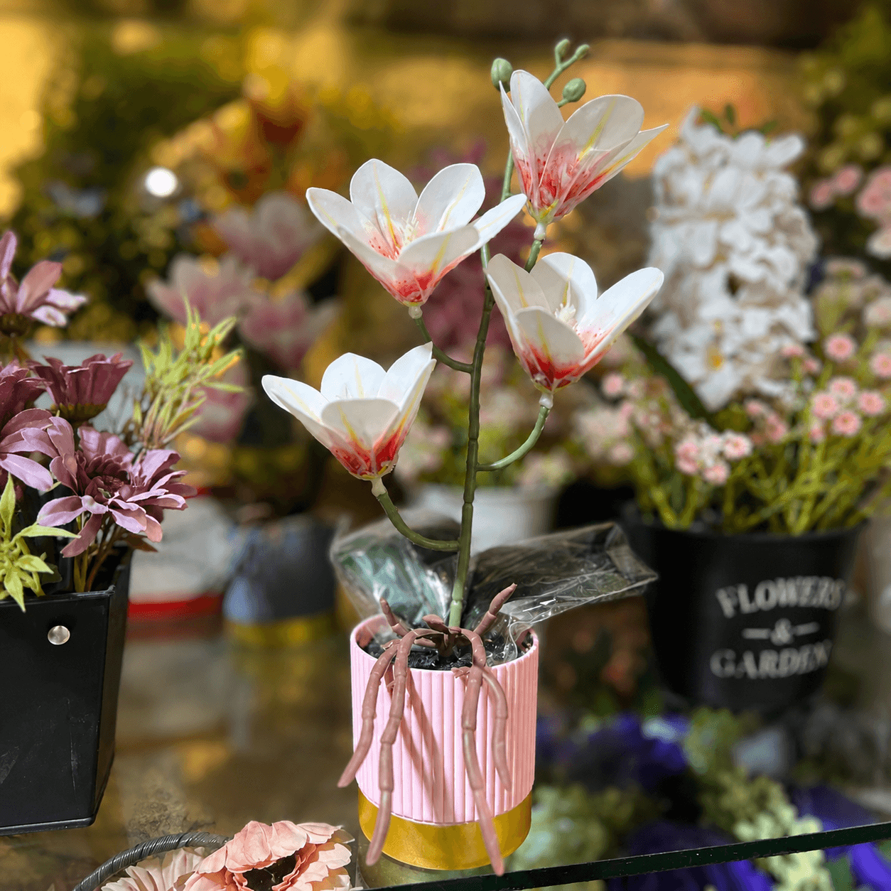 White Orchid Arrangement in Pink Ribbed Planter