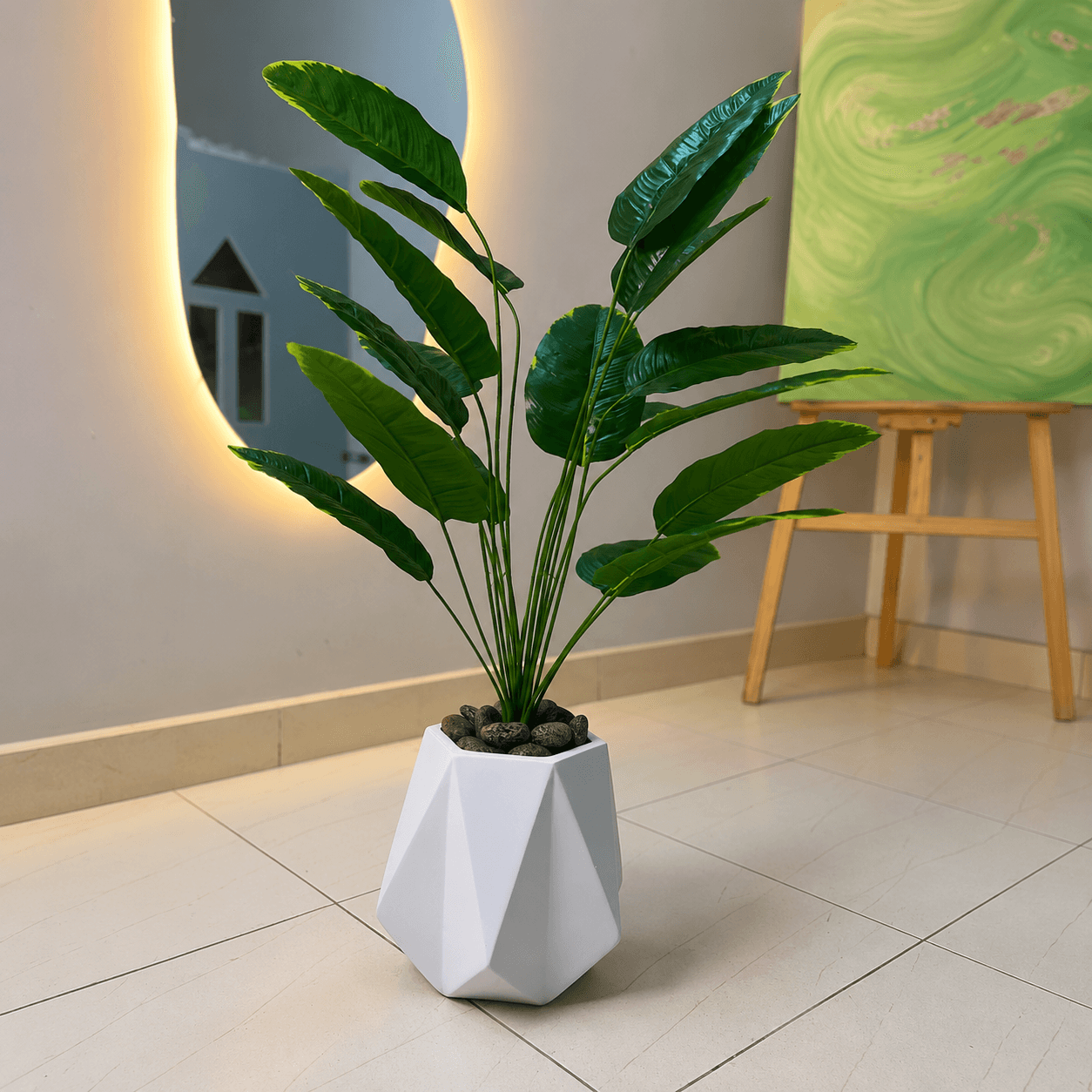 Diamond Planter with Banana Plant