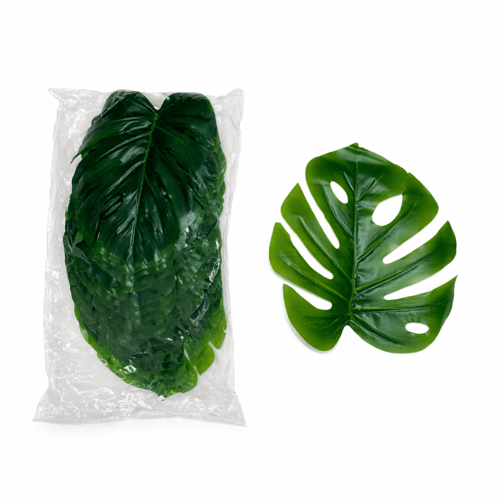 18 Leaf Money Plant with Stem