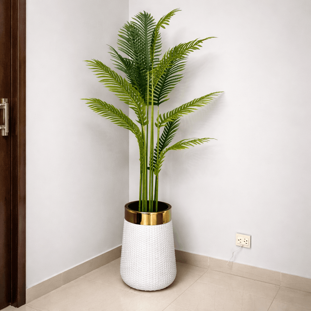 Areca Palm Tree with Premium Textured Planter
