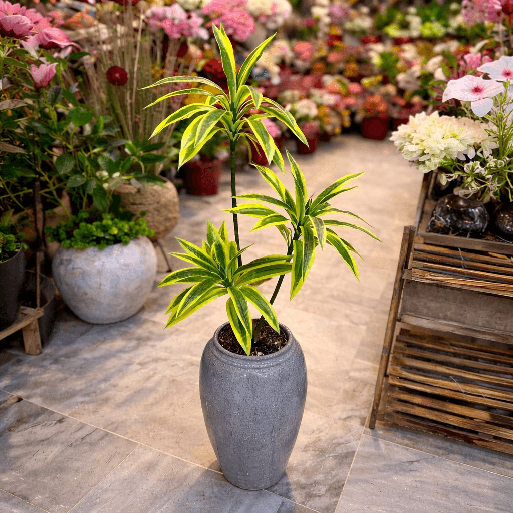 Black Shiny Ceramic Vase