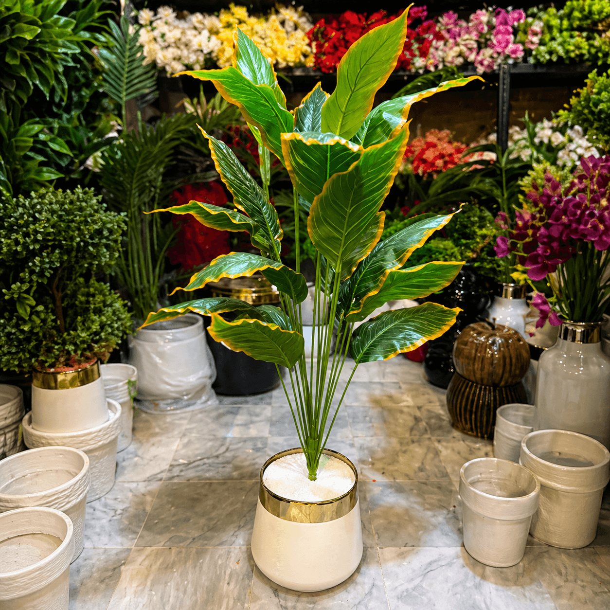 Artificial Dieffenbachia Plant