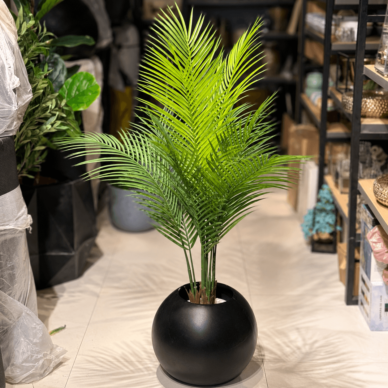 Lush Tropic Palm in Round Planter
