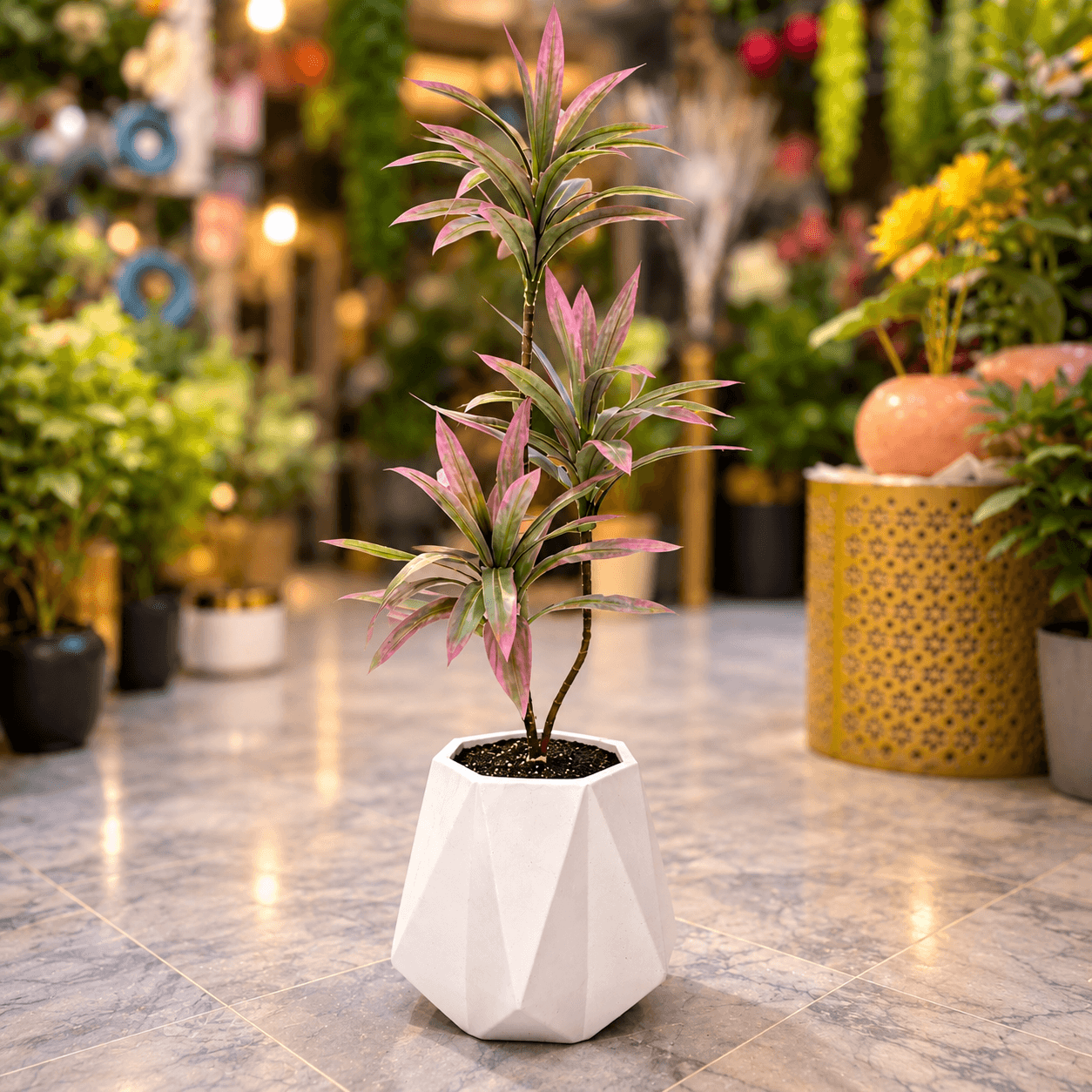 Dracaena Plant in Matte Diamond Chalk Planter