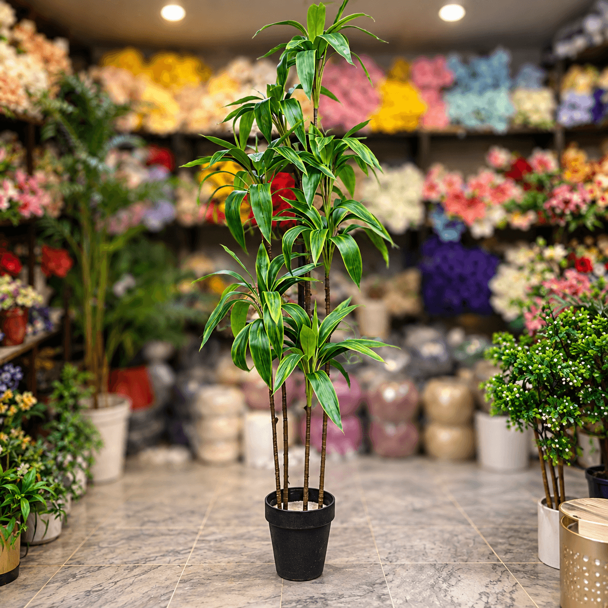 6 Feet Artificial Dracaena Plant